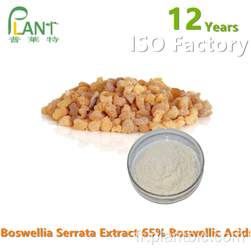 Poudre d&#39;extrait de Boswellia Serrata 65% 90% Acide Boswellique